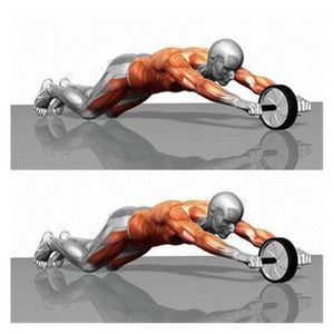 Rueda abdominal PRO GYM Entrenamiento Abdominales