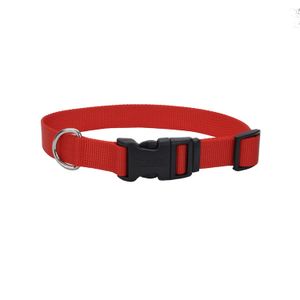 Collar para Perros Coastal Rojo L
