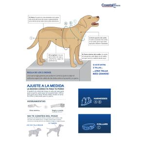 Collar para Perros Coastal Styles Spb L