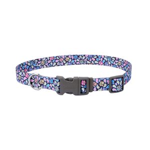 Collar para Perros Coastal Styles Spb L