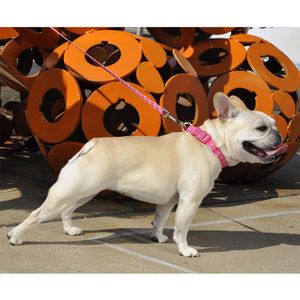 Collar para Perros Coastal Styles Pdt S