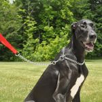 image-ed5590b0708747079dca94e4f04147a4