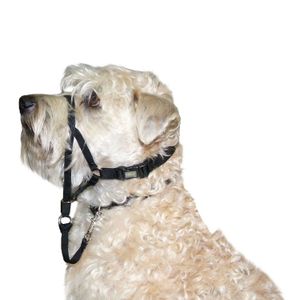 Bozal de Entrenamiento para Perros Coastal Halter Walk N Train S
