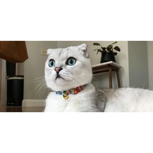 Collar para Gatos Coastal Fashion Pcg