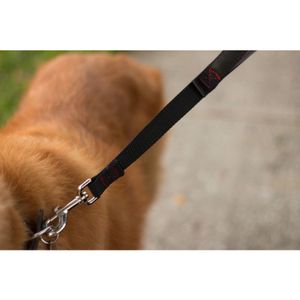 Correa Corta Doble Pliegue para Perros Coastal 60 cm