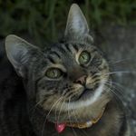 image-cc3d59104b8447518049e533f630307a