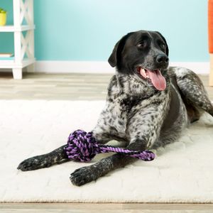 Juguete para Perros Multipet Nudo de Soga con Jalador 25 cm Morado
