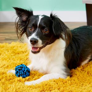 Juguete para Perros Multipet Nudo de Soga 7 cm Azul Small