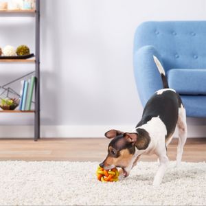 Juguete para Perros Multipet Nobbly Wobbly 8 cm Amarillo y Naranja