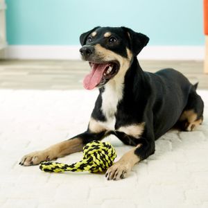Juguete para Perros Multipet Nudo de Soga con Jalador 25 cm Amarillo Large