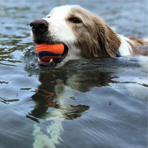 Juguete para Perros Chuckit Ultra Ball 1 Pack Medium