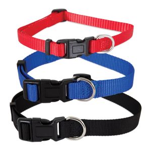 Collar para Perros Petmate Ajustable de Nylon Azul XS
