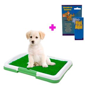 Baño Perros Cachorros Puppy Potty Portátil y Pipí Aquí