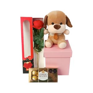 Pack Regalo Amor Sifrah Shop Peluche Perrito con Ferrero Rocher y Caja