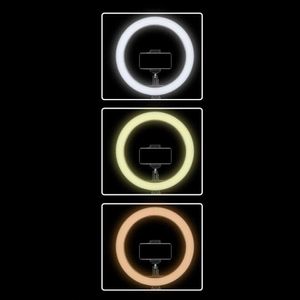 Aro Anillo SM Luz Led 26cm + Parante Trípode 2.10m