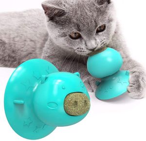 Catnip Smartpet Piggy Tu Surtido