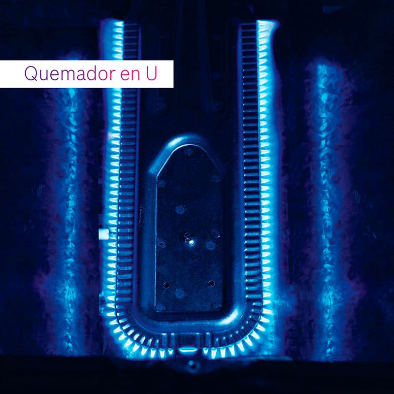 image-e1e916fa384c4aa585870ab9e9529abd