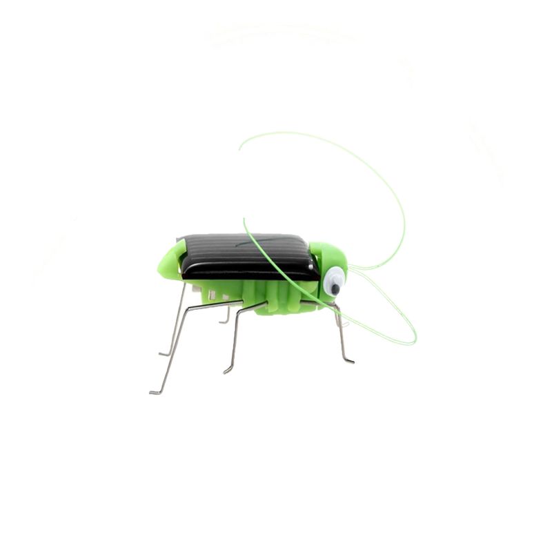 image-bb0d290c7492463b8d717160b22bced5