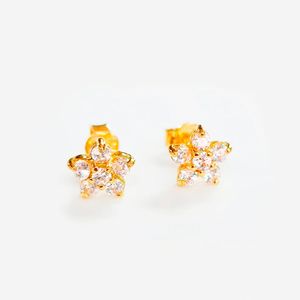 Arete Rossetas En Oro