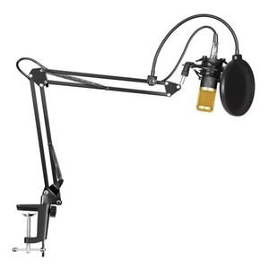 Microfono Condensador Brazo Soporte Bm800 Pc Estudio Antipop