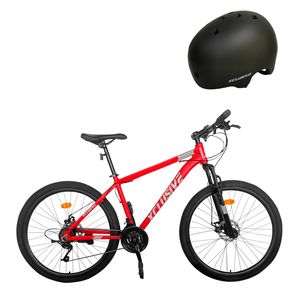 Bicicleta Aluminio Xclusive Aro 29 RG Freno Disco Hidraulico + Casco MTB Urbano M