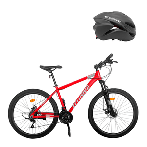 Bicicleta Aluminio Xclusive Aro 29 RG Freno Disco Hidraulico + Casco MTB Negro M