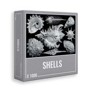 Rompecabezas Shells 1000pcs