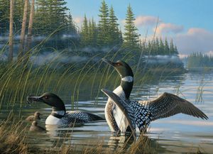 Rompecabezas Common Loons 1000pcs
