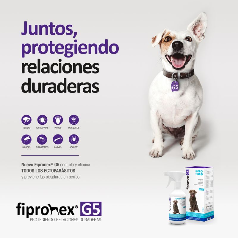 image-82e30f4660b444918343fea19268ab52