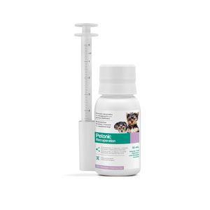 Vitamina Nutricional para Perros Petonic Recuperation X 55 Ml