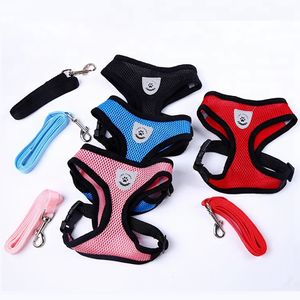 Pechera con Correa para Perros Pequeños y Gatos Talla S Negro