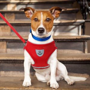 Pechera con Correa para Perros Pequeños y Gatos Talla S Rojo