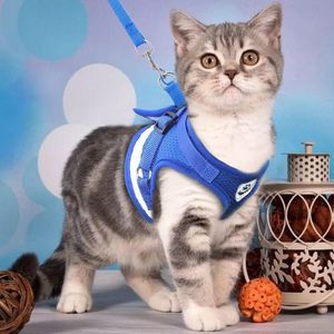 Pechera con Correa para Perros Pequeños y Gatos Talla M Azul