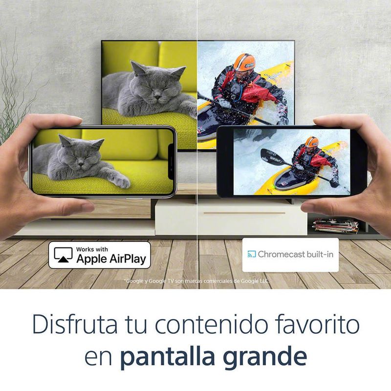image-a9b2d22c4ccc4344ad57d8f41d271948