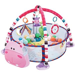 Gimnasio Para Bebe Centro Actividades Pelotitas Hippo