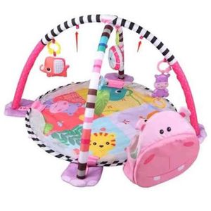 Gimnasio Para Bebe Centro Actividades Pelotitas Hippo