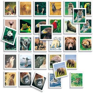 Juguete Educativo de Memoria Animales Reales Diset