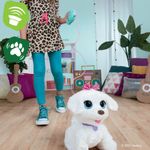 image-a4c66e8718a240e08b0535da2b336f43