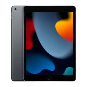 iPad 10.2" 256GB Wi-Fi Space Gray Chip A13 Bionic