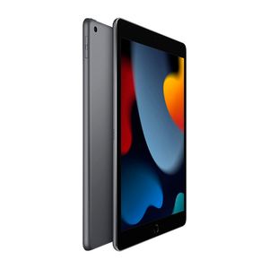 iPad 10.2" 256GB Wi-Fi Space Gray Chip A13 Bionic