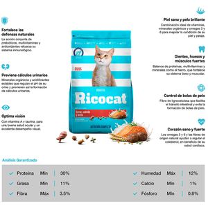 Comida para Gatos RICOCAT Adultos Carne, Salmón y Leche Bolsa 1Kg