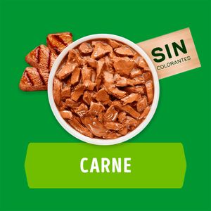 Comida para Perros DOG CHOW Cachorros Razas Pequeñas Sabor Carne, Leche y Arroz Pouch 100g