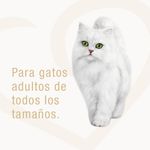 image-988e6b6df3964fe398e5be381ff34f1f