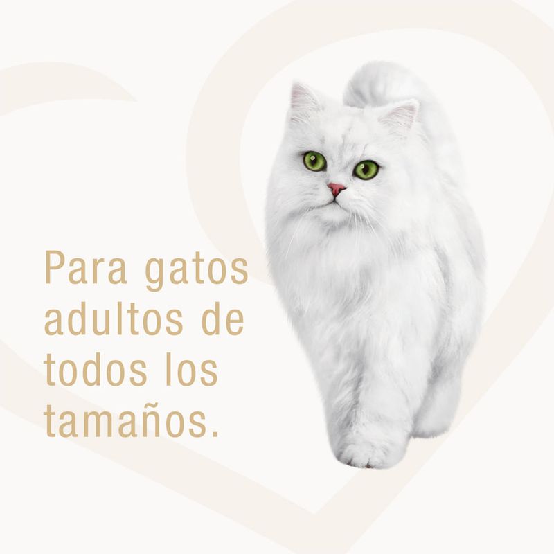 image-988e6b6df3964fe398e5be381ff34f1f