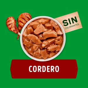 Comida para Perros DOG CHOW Adultos Picnic de Corder Pouch 100g