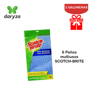 Limpiavidrios Daryza Galón Pack 2 Galoneras