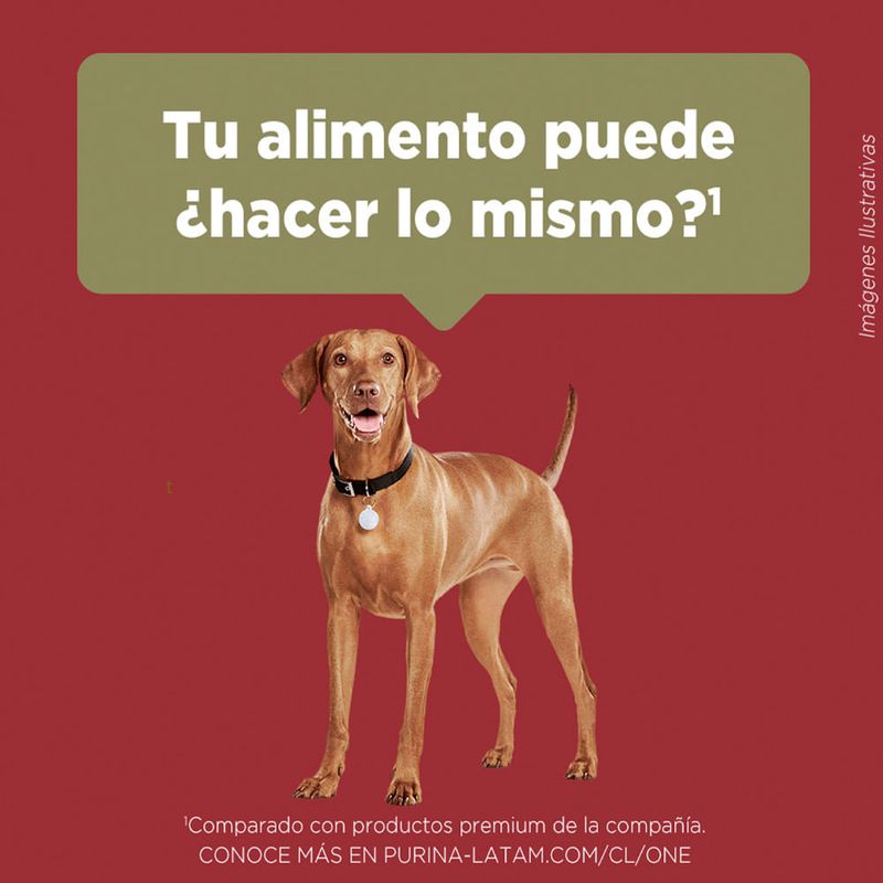 image-92be06cebbaa46faaab548627876de1c