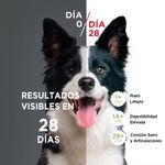 image-c9fa6a507fe24bfe82f93194003140fb