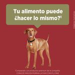 image-afbdcee1a8534cc79fb2716401d6fe32