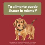 image-4783b98caff5480ea4bf915d79599fc8